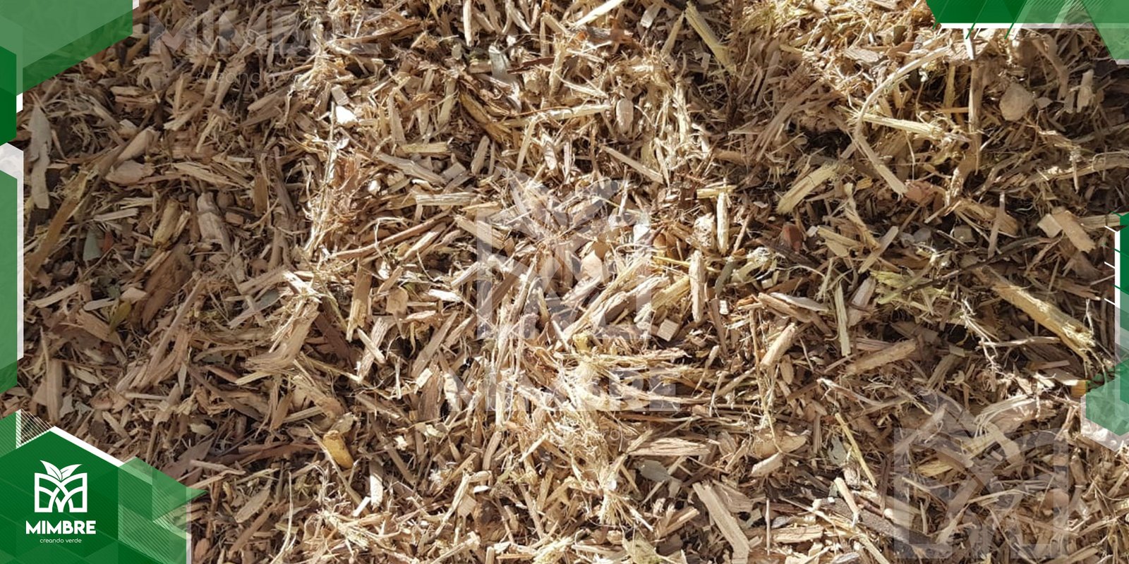 En este momento estás viendo De la poda al chip