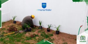 Lee más sobre el artículo Manantiales